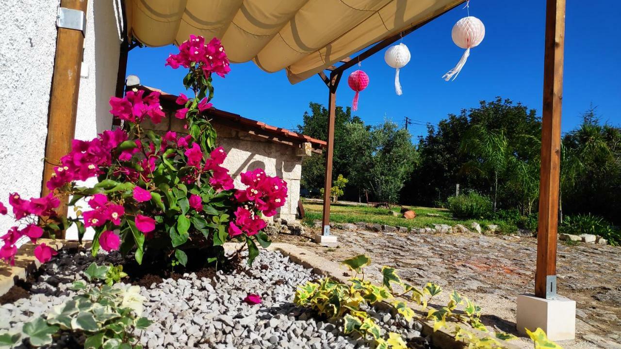 Louro'S Villa - 12130Al Cantanhede Bagian luar foto