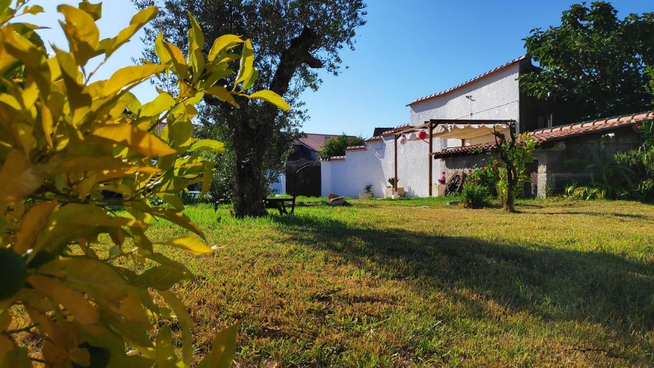 Louro'S Villa - 12130Al Cantanhede Bagian luar foto